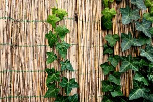 Gartenzaun und Nachhaltigkeit